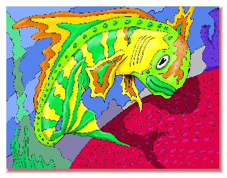 Flashy Fish