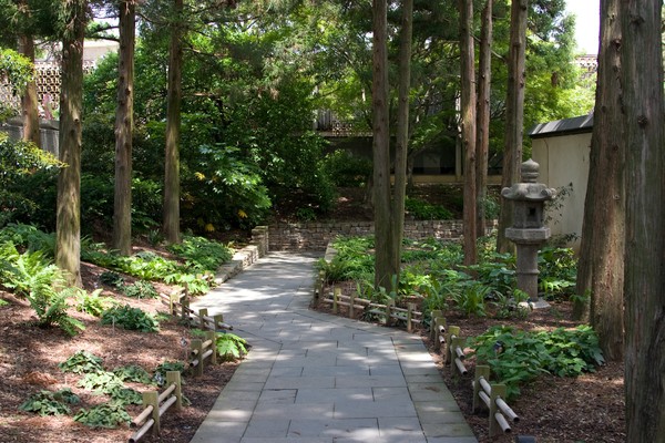 A Garden Path