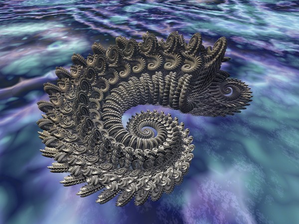 Ocean Beauty (11)