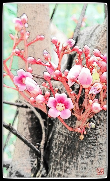 Past Spring