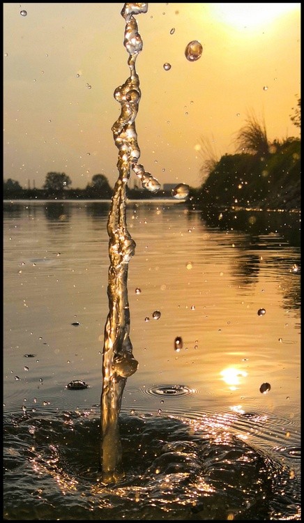 water dance vii