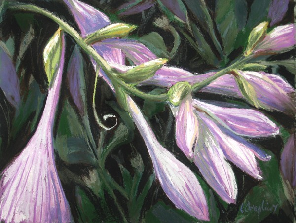 Purple Vine