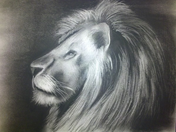 lion