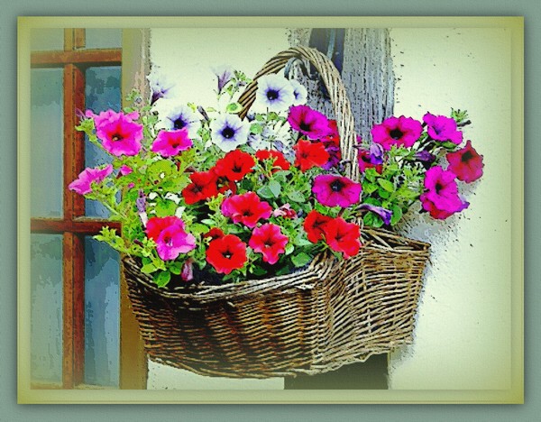 Have a Wonerful Day in The Lord...