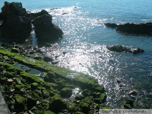 Sunny Cascais
