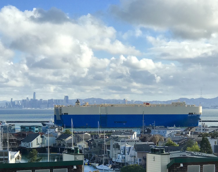 View from My Window