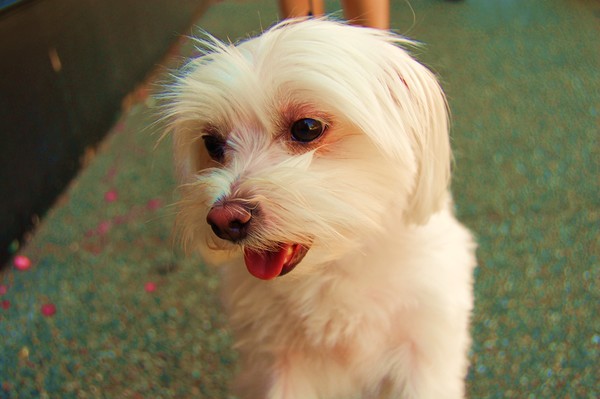 Pretty lil lady ............