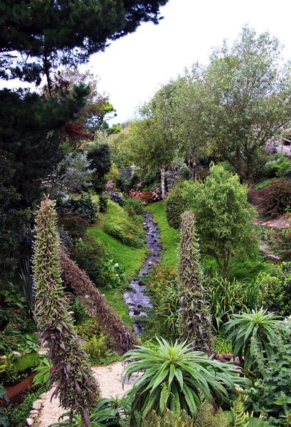 garden of eden,mabye