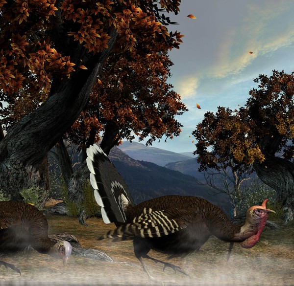 Strut the stuff (or Stuffing)