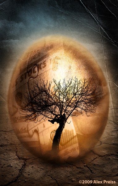 Madoff’s Money Tree