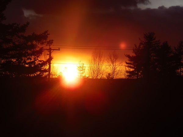 Flaming Orange