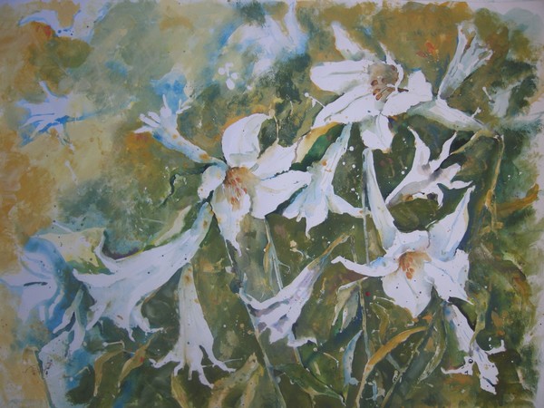 WHITE LILY
