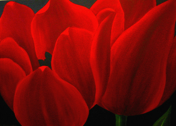 RED TULIPS for NIRA