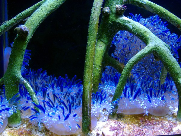 Underwater