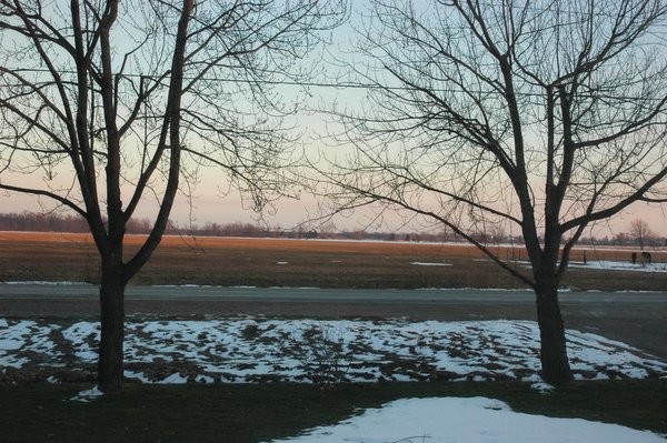 The Sunsetting In Essex