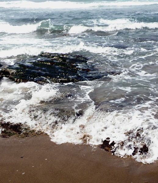 Waves Roll In