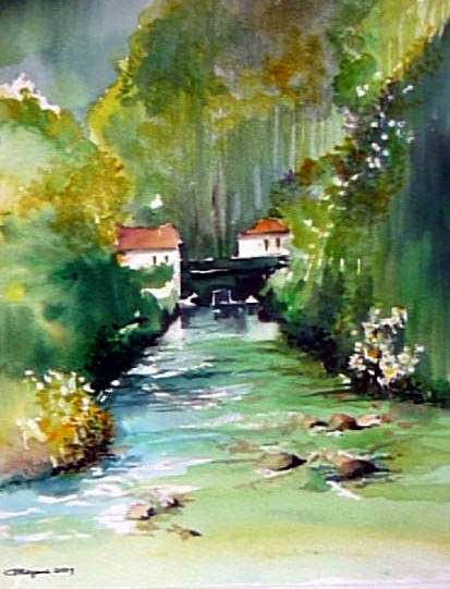 The green green flora of home