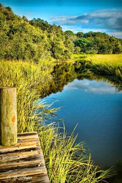Down at the River
