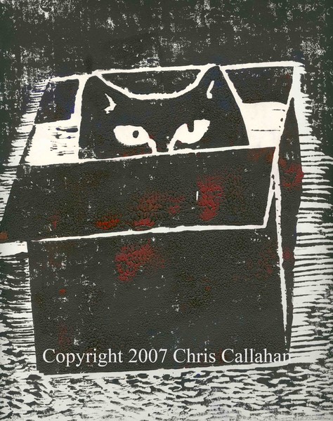 Flipper in the box woodcut