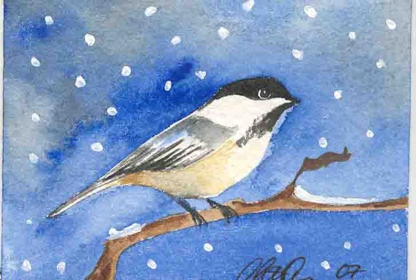 Winter chicadee