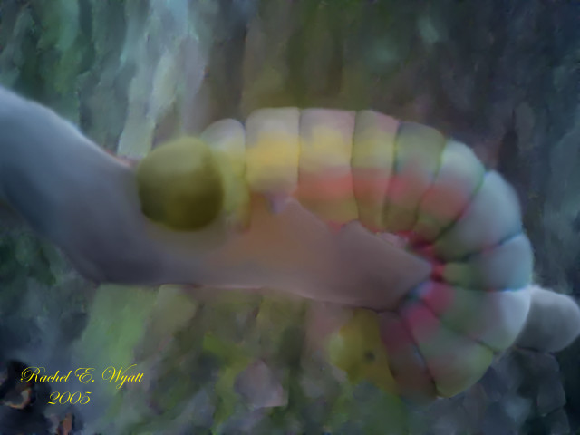 Caterpillar
