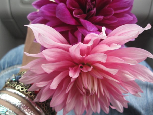 pretty