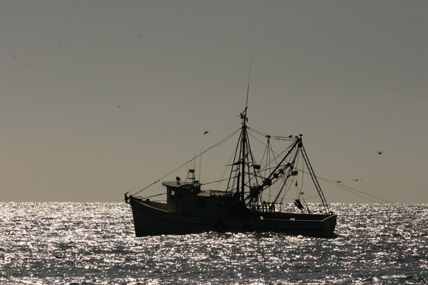 Fishing Time