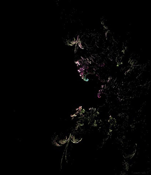 Night of the Shaman