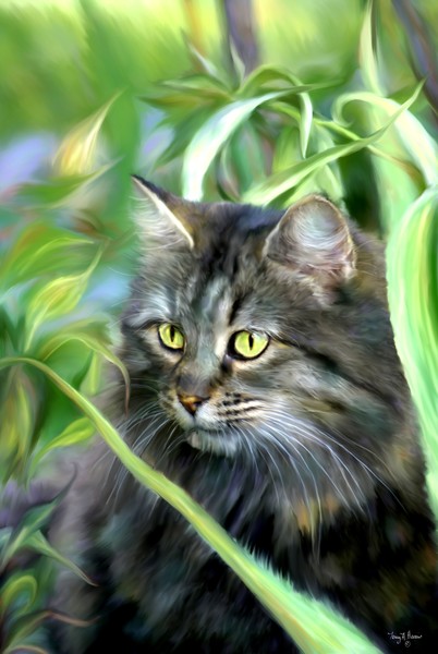 Cat in the Garden tah