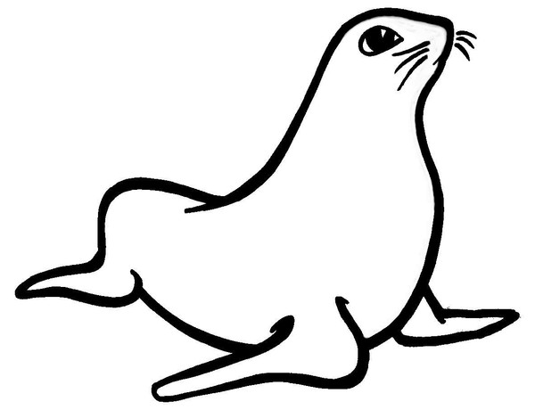 seal03