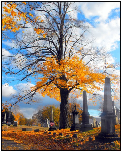 Colorful Tree Among Headstones.