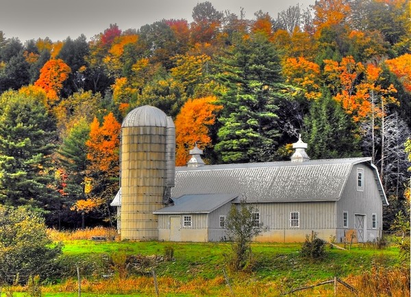 Autumn In The Country 2