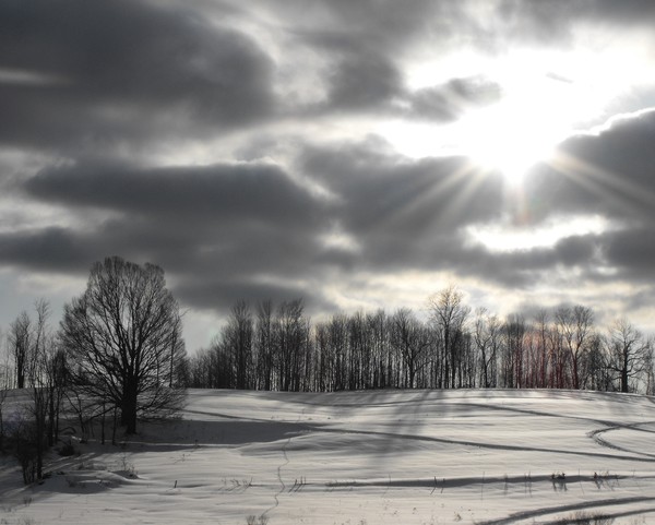 Winter Shine