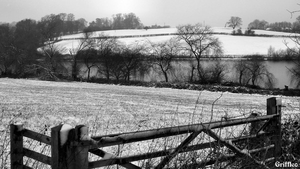 WINTER SCENE # 2