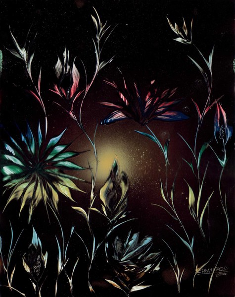 colored flowers