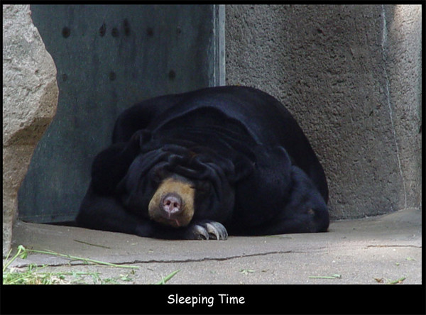 Sleeping Time