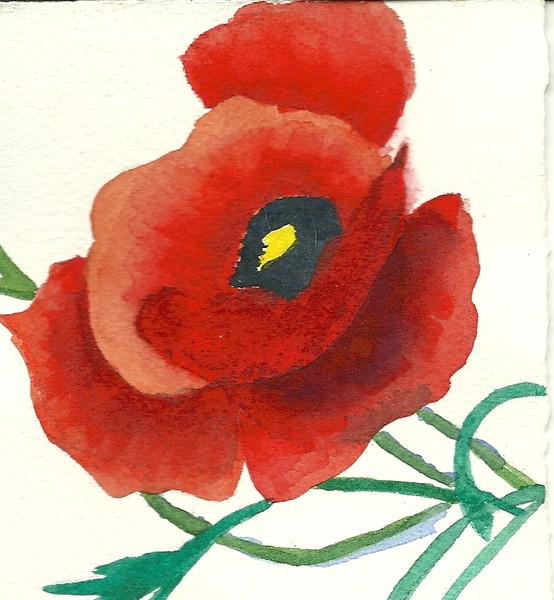 Poppy
