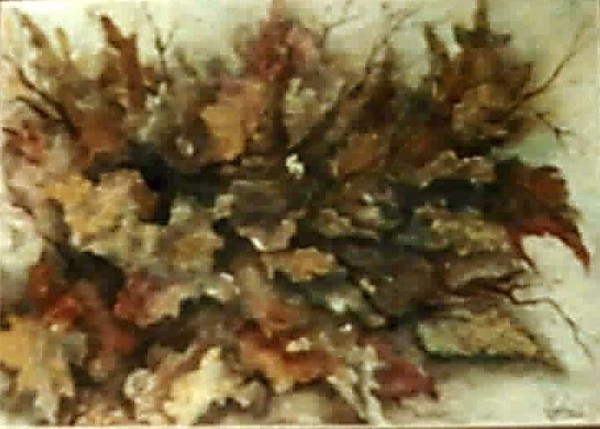 Autumn Leaves