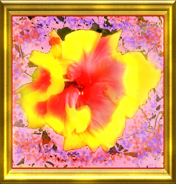 DOUBLE HIBISCUS WITH GOLD FRAME