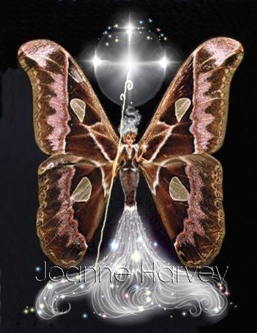The Moth Fairy
