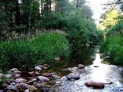 Tonto Creek