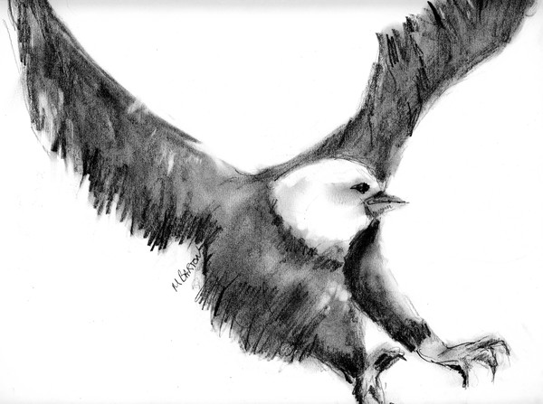 Flying Eagle