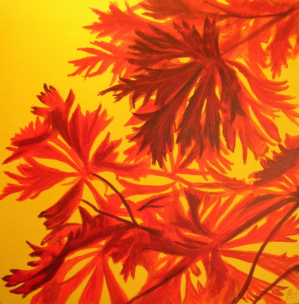 Maple Madness