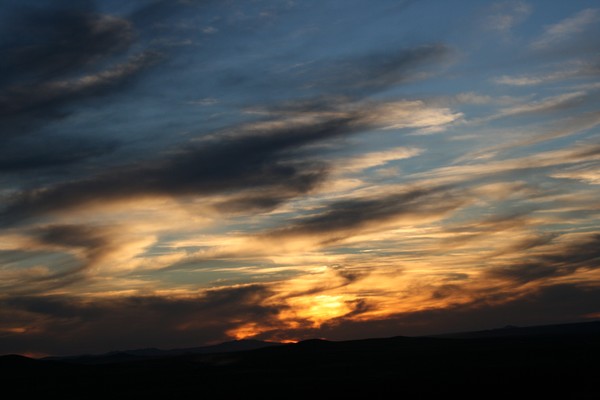 Marbled Skys (up up close)