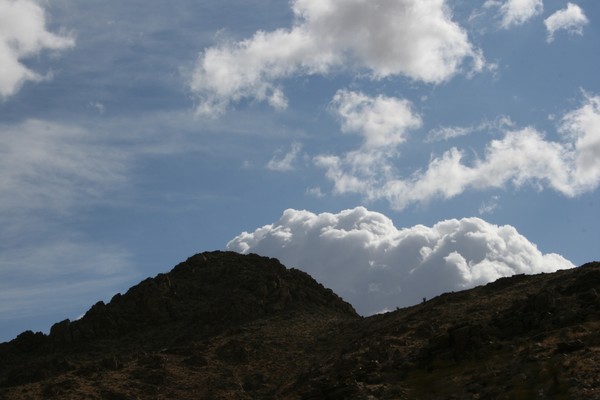 Goat Pass  #11