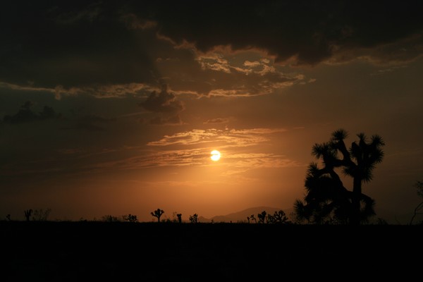 A Desert Setting  #1