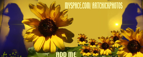 Add Me