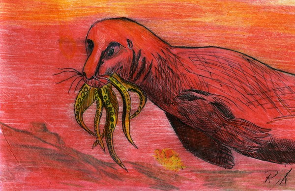Calamari, Anyone?