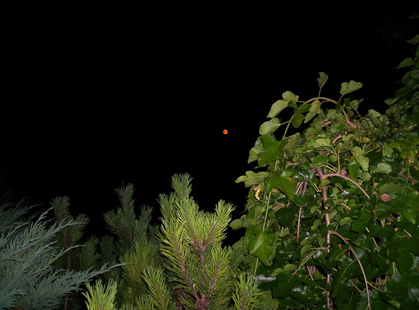 Harvest Moon