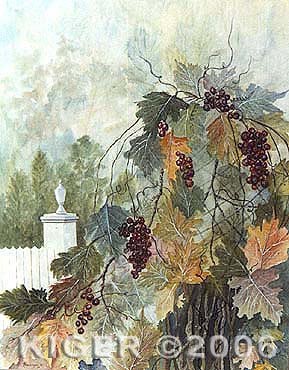 Grapevine